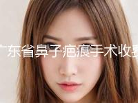 广东省鼻子疤痕手术收费明细权威-广东省鼻子疤痕手术费用大约在多少